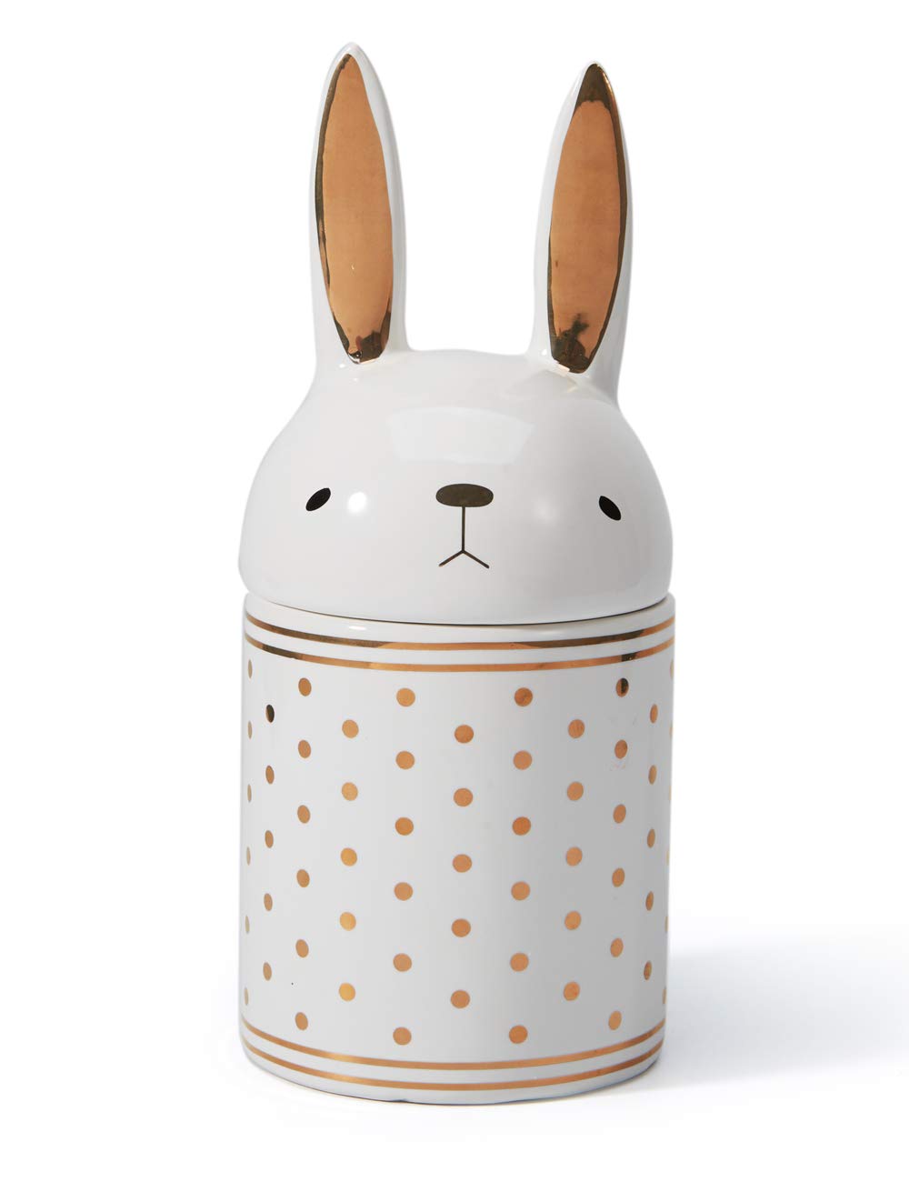 HAUCOZE Cookie Jar Jewelry Snack Tray Rabbit Gifts Arts Modern Sculpture Decor Animal Figurine Table Crafts Home Statue Ceramic Ornament 20cm