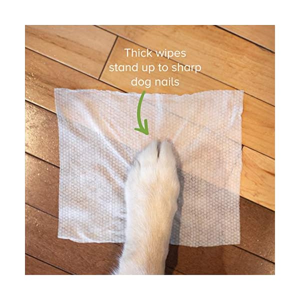 Earth-Rated-Dog-Wipes-100-Compostable-Pet-Grooming-Wipes-For-Dogs-Cats-USDA-Certified-99-Percent-Biobased-Hypoallergenic-20x20cm-Unscented-Cleaning-Wipes-For-Paw-Tushie-Bum Earth Rated Dog Wipes, Thick Plant Based Grooming Wipes For Easy Use on Paws, Body and Bum, Unscented, 100 Count