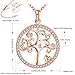 J.Rosée Tree of Life Necklace, (Rose Gold Plated Sterling Silver) with 925 Sterling Silver and 3A Cubic Zirconia, 18''+ 2