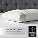 Beautyrest Latex Foam Pillow, Queen