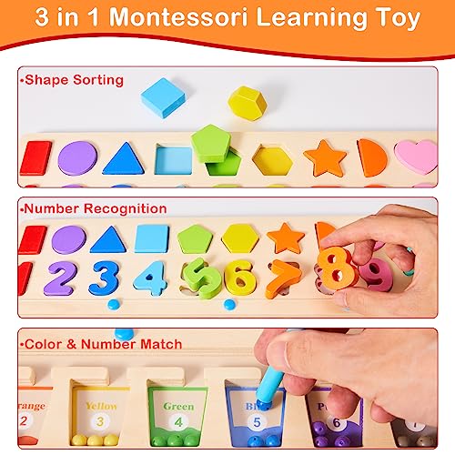 3 in 1 Montessori Toys for 3+ Year Old, Educational Color and