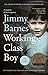 Working Class Boy: The Number 1 Bestselling Memoir by Jimmy Barnes