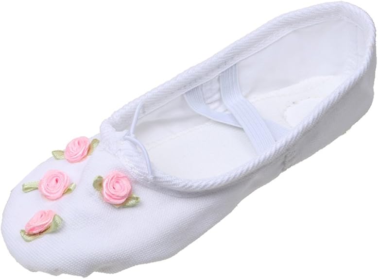 Chausson De Danse Classique - Top 10 Des Eilleurs D'Avril 2025