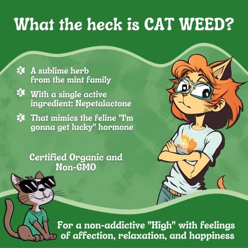 Cat Weed Organic Premium Catnip All Natural Maximum Potency Cat Nip Sprinkle On Your