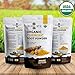 1 lb Organic Turmeric Root Powder by Organic Wise, Minimum 6.9% Curcumin Content.Packed in the USA, From India-Resealable Pouch