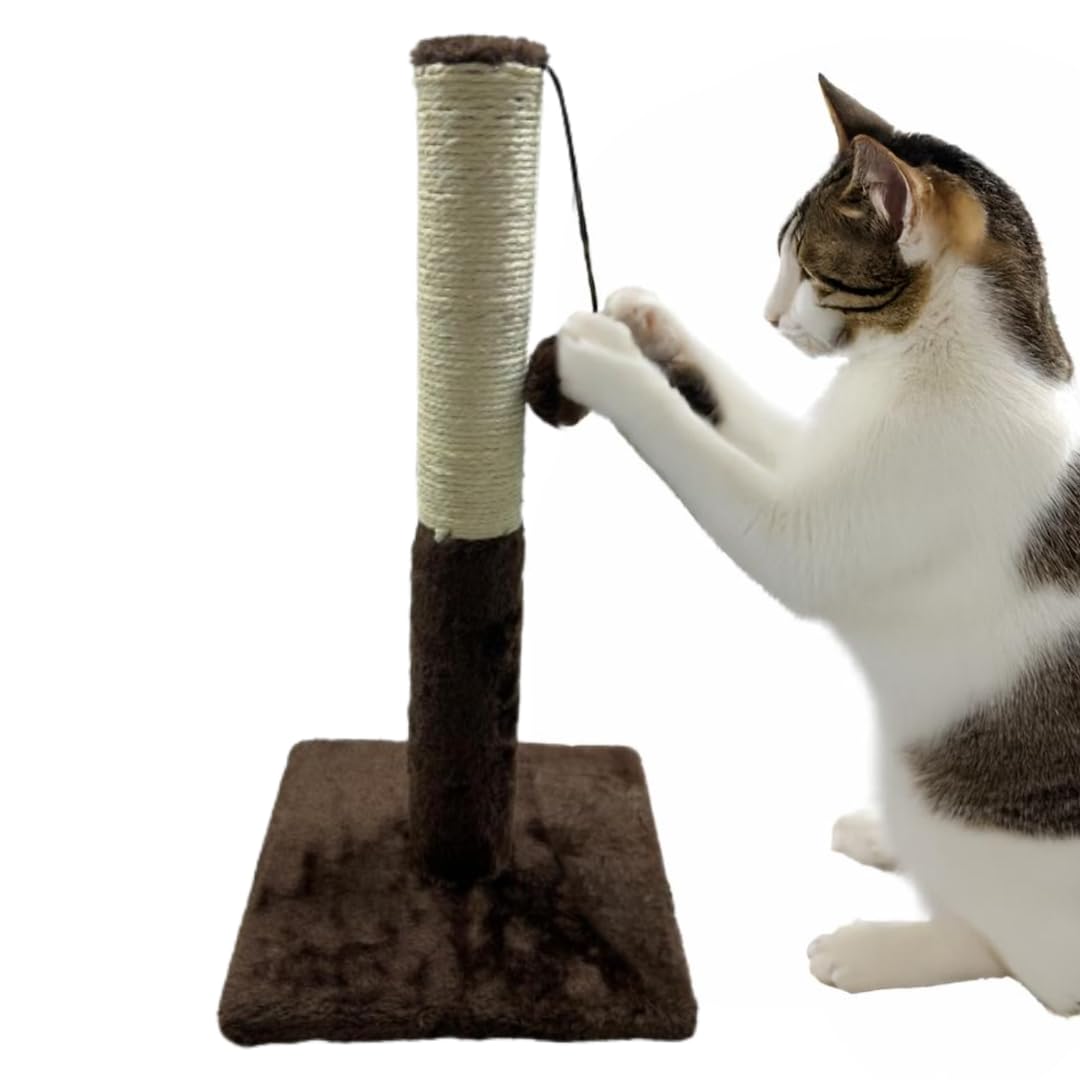 Pets Crew 48cm Cat Scratching Post with Sisal Pole, Plush Base, Pom-Poms | Sturdy Cat Furniture for Scratching, Climbing & Play | Durable Sisal Rope & Soft Plush for Kittens and Cats (Brown)
