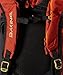 Dakine Heli Pro DLX Backpack
