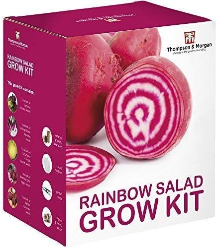 Rainbow Salad Seed Growing Kit Grow Your Own Five Colourful Varieties of Salad to Grow; Lettuce, Spring Onion, Radish