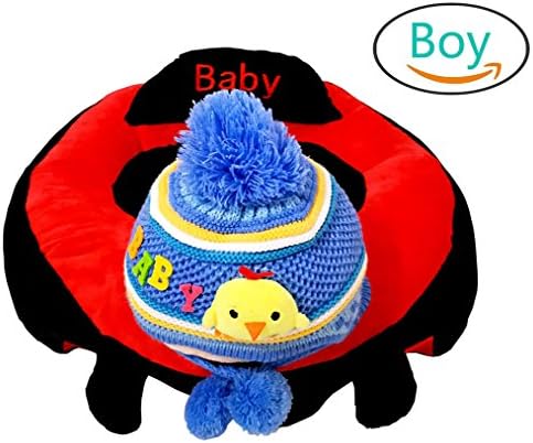 GeniusCells Baby Infant Safe Sitting Chair Embroidery Lovely Animal Boppy Newborn Protective Cushion with A Woolen Baby Cap 3-14 months