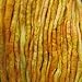 Wool Roving Hand Dyed. Super Soft BFL Combed Top Pre-Drafted for Easy Hand Spinning. Artisanal Craft Fiber ideal for Felting, Weaving, Wall Hangings and Embellishments. 1 Ounce. Yellow