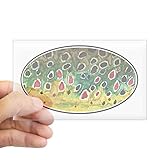 CafePress - Brown Trout Fly Fishing Sticker (Rectangle) - Rectangle Bumper Sticker Car Decal