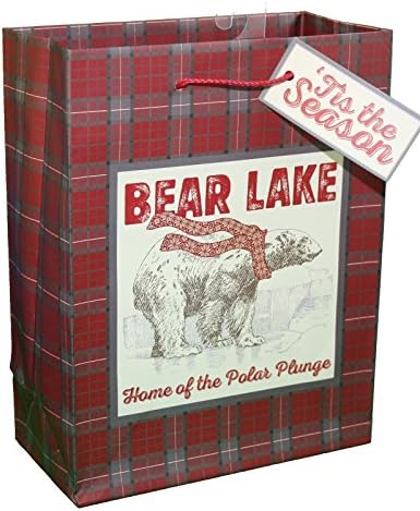 Paper Images Rustic Christmas Medium Gift Bag (Tartan Plaid)