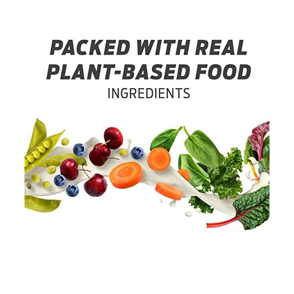 Vega One Organic Meal Replacement Plant Based Protein Powder, Chocolate
