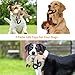 Dog Squeaky Chew Toys Durable 3 Pack Toys Set for Puppy Small Medium Large Dogs Playing Making Fun- Monkey, Bear and Bull