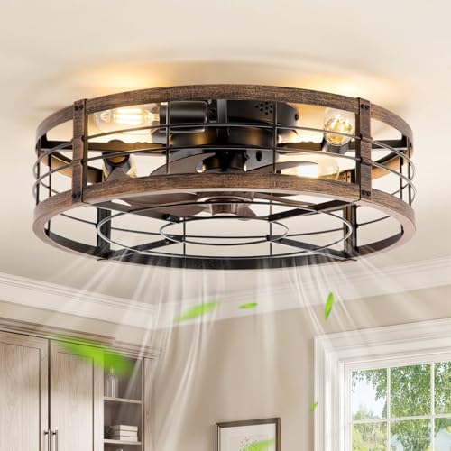 LEDIARY 20 Inch Caged Fan