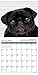 2016 Pug Mugs Mini Wall Calendar