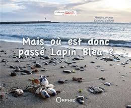 Mais où est donc passé Lapin bleu ?
