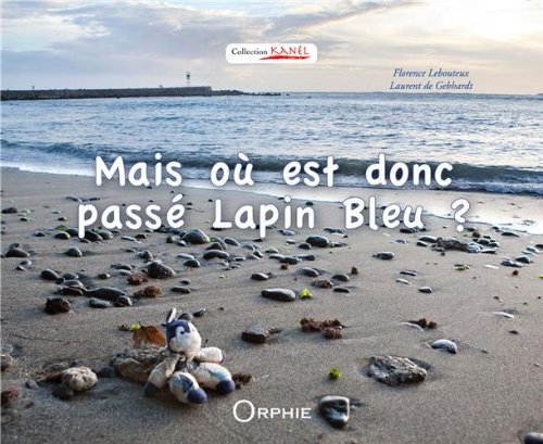 Mais où est donc passé Lapin bleu ?
