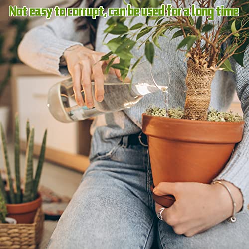 Legigo 1.2lb Premium Sphagnum Moss Potting Mix Natural Succulent