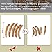 Euchirus 11LBs Non-GMO Dried Mealworms,High-Protein Larvae Treats Feed Molting Supplement for Birds Hens Ducks etc,Large Bulk Meal Worms Birds Chicken Food