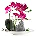 Imiee Artificial Phaleanopsis Arrangement with Vase Decorative Orchid Flower Bonsai (Purple)