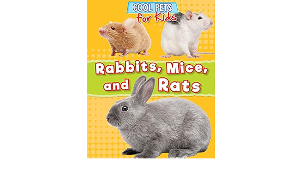 rabbit and mice