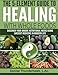 The 5-Element Guide to Healing with Whole Foods by L.Ac., Denise Thunderhawk (2016-05-22) by Denise Thunderhawk L.Ac.