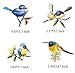 Iron-on Bird Patches (Set of 9) - Embroidered Appliques, Repair and Decorate Clothing, Bags - by Beaulegan