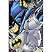 Batman Boys Flannel Coat Style Pajamas (8, Grey Batman)