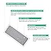 Crucial Air Filter Replacement Parts Compatible with Hamilton Beach True Air Part 990051000 - Fits Vacuum Models 04383, 04384, 04385 - HEPA Style Filters Capture Mites, Pollen (2 Pack)