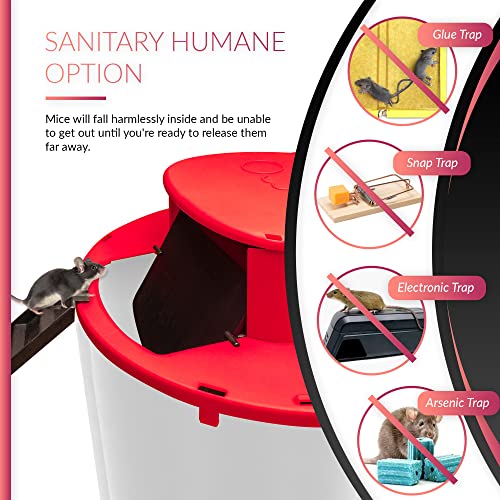 Double Flip & Double Slide get Double The Catch Safe & Sanitary Kill