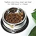 Whippy Stainless Steel Dog Bowl for Small,Medium,Large Pets Set of 2 (Silver, Small,6oz)