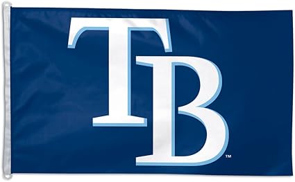 Amazon Com Wincraft Tampa Bay Rays 3x5 Flag Sports Fan Outdoor