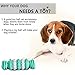 Dog's Chew Toy Dogs Teeth Cleaning Toy [Bite Resistant][Non-Toxic Soft Rubber]Jakpak Dog Chew Toys and Teeth Cleaning Toy for Aggressive Chewers Funny Rotary Rubber Gear Toy for Dogs Mint