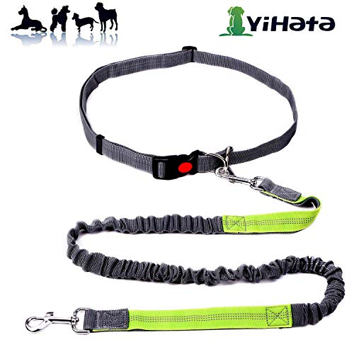 YIHATA Hand Free Hands Dog Leash 6FT Bungee Running Leashes for Dogs Reflective Backpacking Waist Belt Adjustable Biking Rugged Woaat Collar Halti Muzzle Night, Ideal for Small, Medium, Large Dogs - Thumbnail 7
