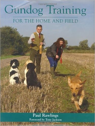 field dog training