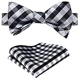 SetSense Men's Plaid Jacquard Woven Self Bow Tie Set