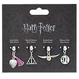 Silver Plated Harry Potter Icons Set of 4 Slider Charms
