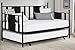 Daybed with Trundle/No Box Spring Required/Premium Sturdy Slats w/Rich Jet Black Finish/Modern Space Saving Design/Day Bed and Roll Out Trundle Accommodate Twin Size Mattress/Ships in 1 Box