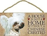 A House Is Not A Home Without A Chinese Crested - 5