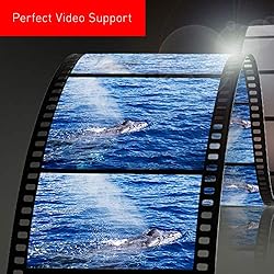 Panasonic LUMIX S 24-105mm F4 Lens, Full-Frame L