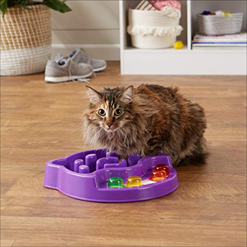 Amazon Basics Pet Activity Center and Feeder, Purple Pricepulse