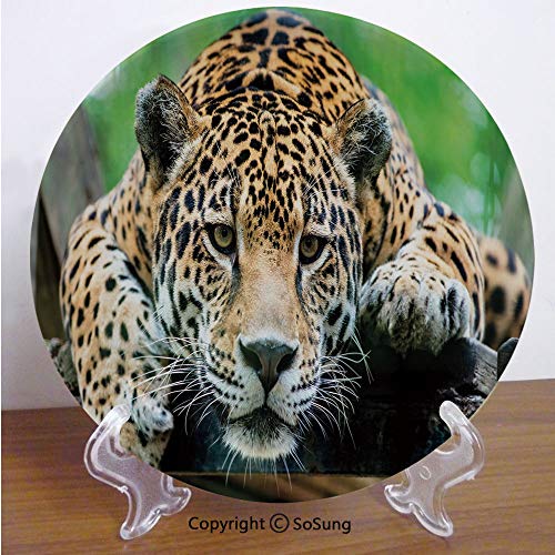 Jungle 7" Ceramic Decorative Plate,South American Jaguar Wild Animal Carnivore Endangered Feline Safari Image Orange Black Green,for Living Room, Bedroom, Hallway Console Side Table Decor