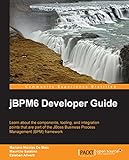 jBPM6 Developer Guide