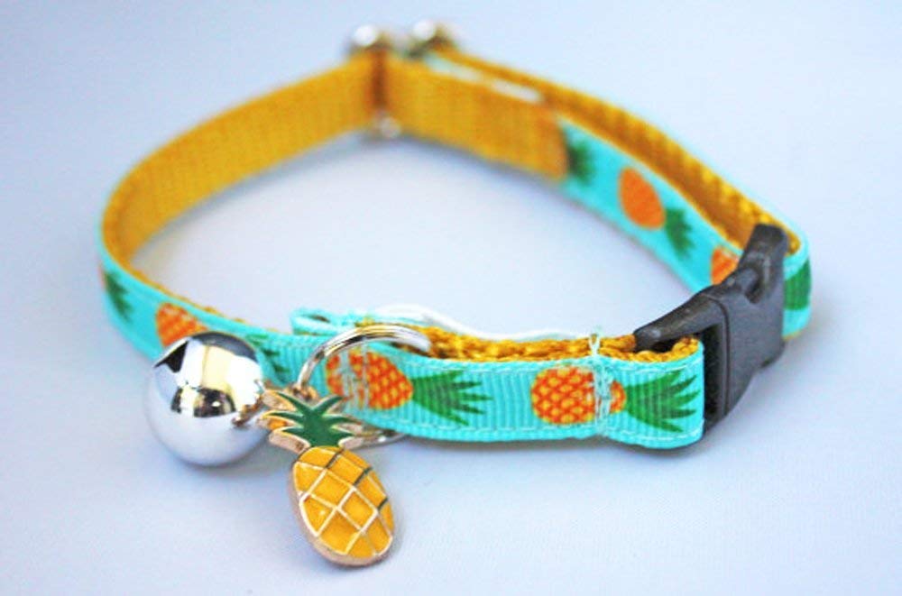 chocolate weenie dog