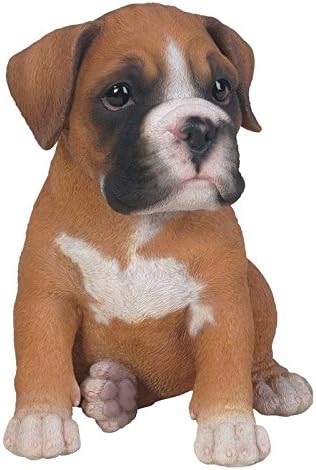 Vivid Arts Pet Pals - Boxer Puppy
