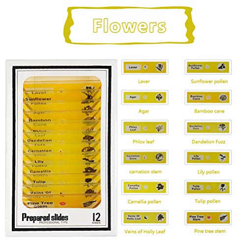 YOTINO 48Pcs Prepared Microscope Slides Specimen Animals Insects Plants Flowers Sample Biological Specimen, Stereo Microscope Slide for Kids Children Students Enlighten Education - Thumbnail 3