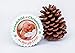 The Grandparent Gift Ceramic Photo Ornament, Grandchild's Christmas