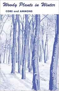 Woody Plants In Winter A Manual Of Common Trees And