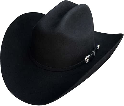 texanas stetson 100x precio
